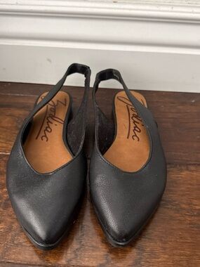 Zodiac Black Pointed Slingback Flats